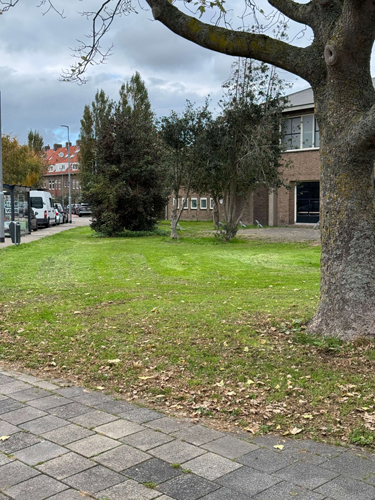 Wijkplatform Leefbaar Vondelkwartier |
