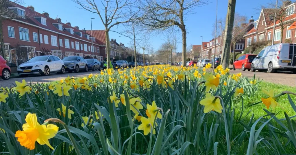Wijkplatform Leefbaar Vondelkwartier